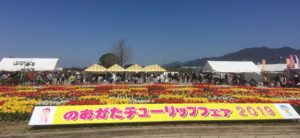 直方チューリップ祭りに行ってみました