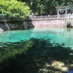 太陽の眩しい季節に別府弁天池へとリベンジで行ってきました