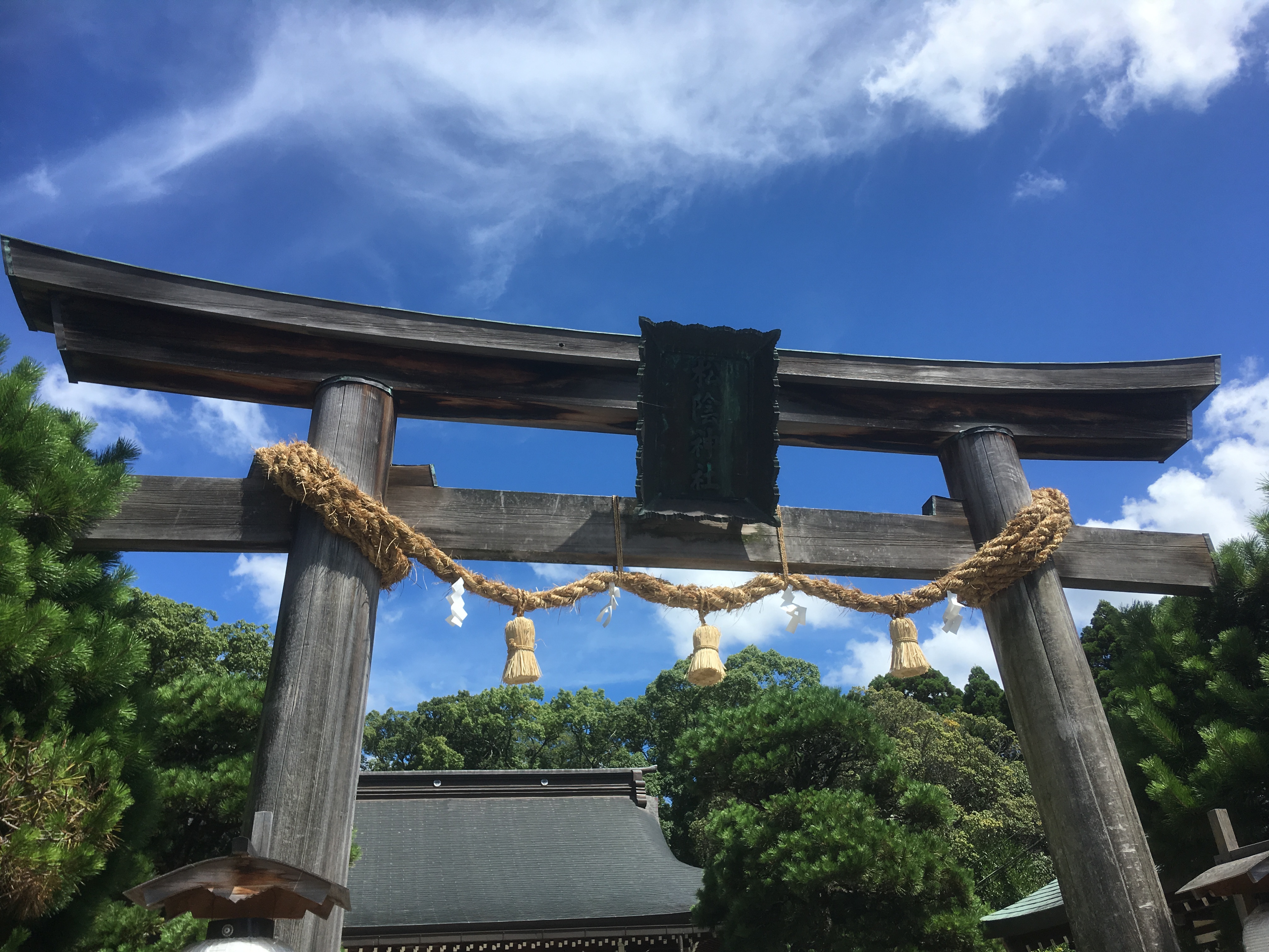夏の松陰神社は、年末年始の松陰神社よりも雰囲気がいい
