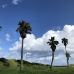 夏の鹿児島旅行は家族で楽しめる自然豊かたな観光スポットが多め