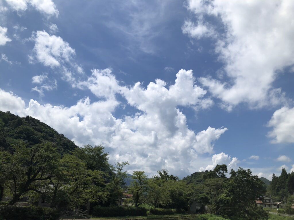 島根県熊野大社龍雲